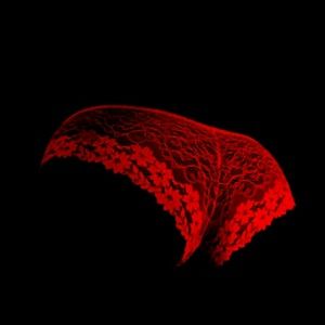 Meet your Posher, Kurtis